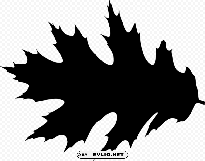 Leaf Silhouette Isolated Subject with Transparent PNG