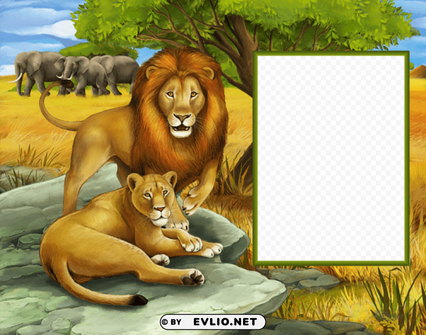 lions in the jungle transparent kids photo frame PNG Image with Clear Background Isolated