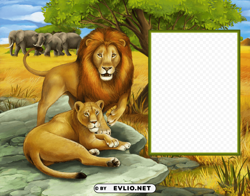 lions in the jungle transparent kids photo frame PNG Image with Clear Background Isolation