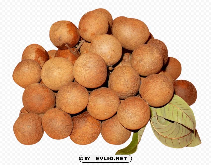 Longan PNG Design