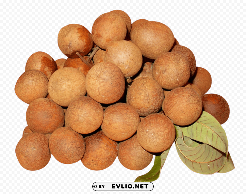 longan PNG images without restrictions