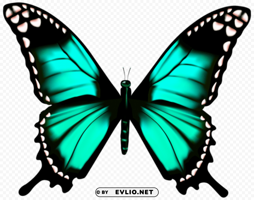 butterfly Isolated Character in Clear Transparent PNG clipart png photo - d107ee49
