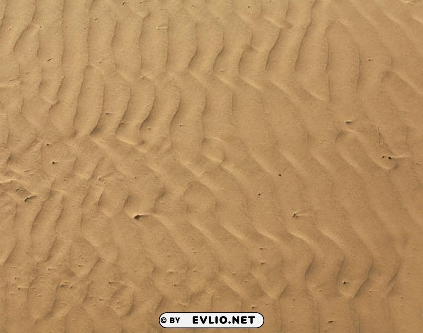desert sand desert Clean Background Isolated PNG Graphic