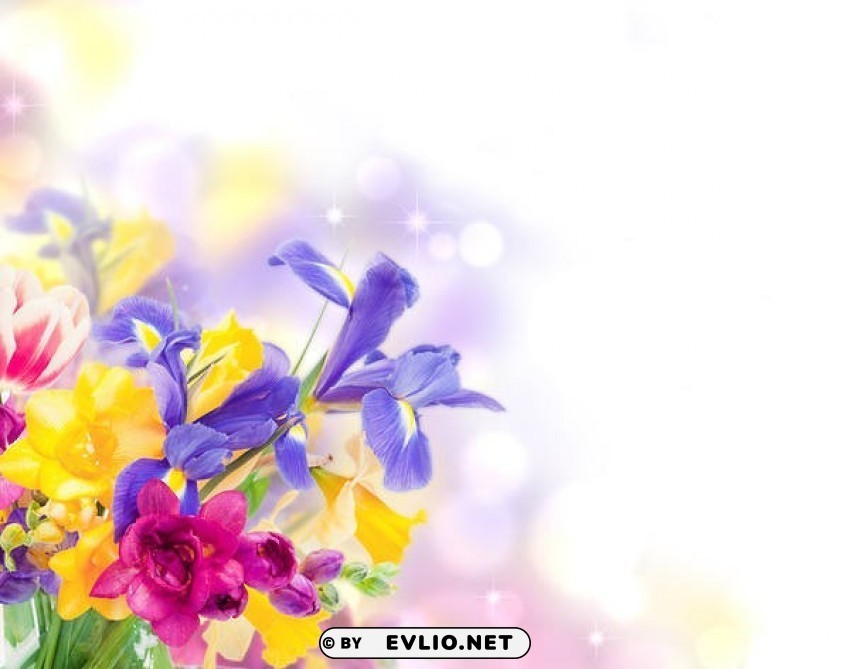 floral decorative Clean Background Isolated PNG Graphic Detail