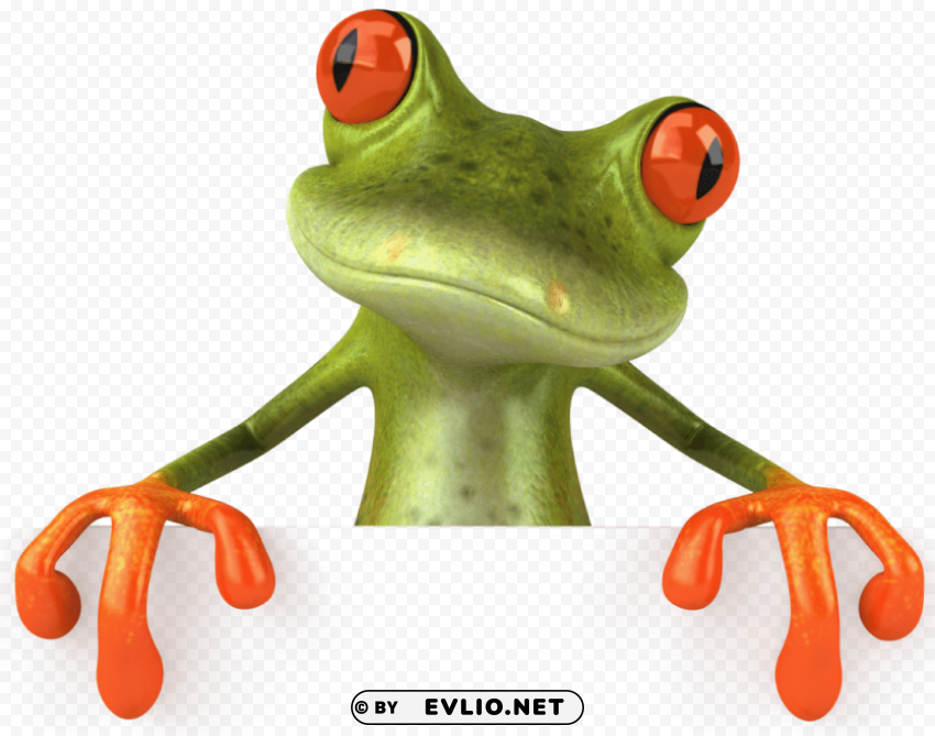 frog Isolated Graphic with Clear Background PNG