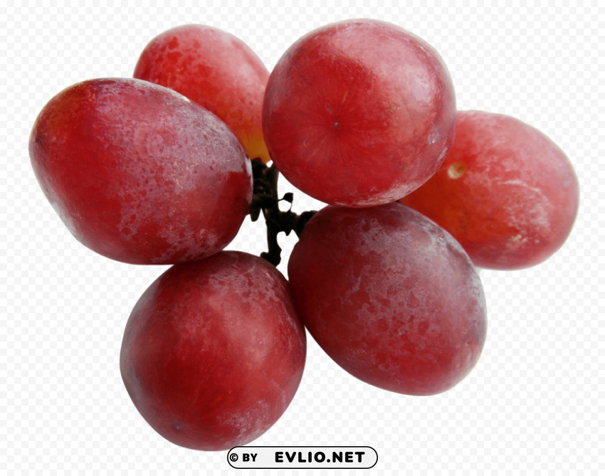 Grapes PNG for educational use