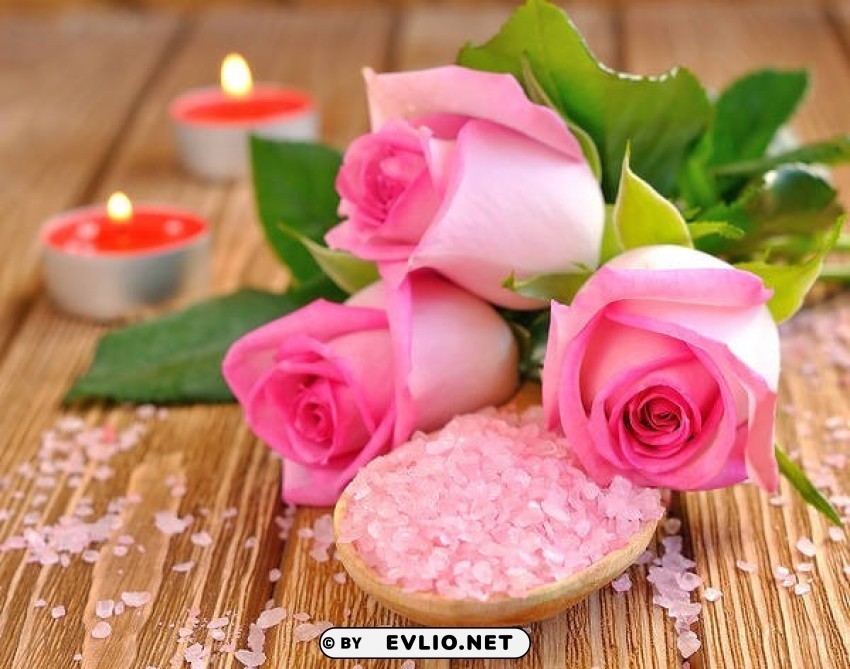 pink roses and candles PNG files with clear background collection