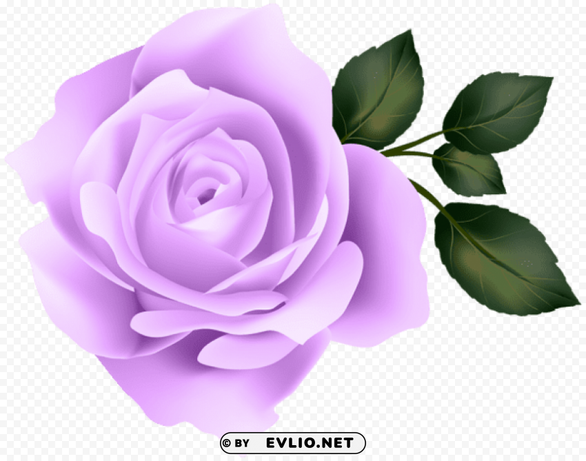 PNG image of purple rose PNG Image with Transparent Isolated Graphic with a clear background - Image ID c045419e