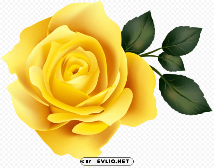 PNG image of yellow rose PNG Image with Clear Isolated Object with a clear background - Image ID 82b3eee1