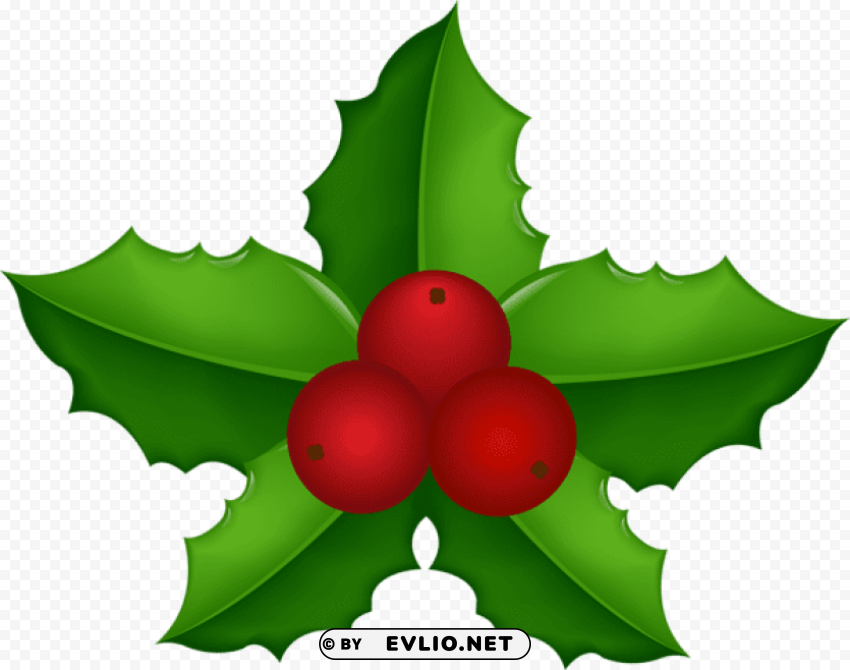 christmas holly mistletoe Transparent PNG images extensive gallery
