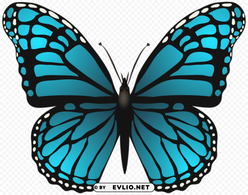 large blue butterfly Isolated Illustration with Clear Background PNG clipart png photo - 29a2ef28