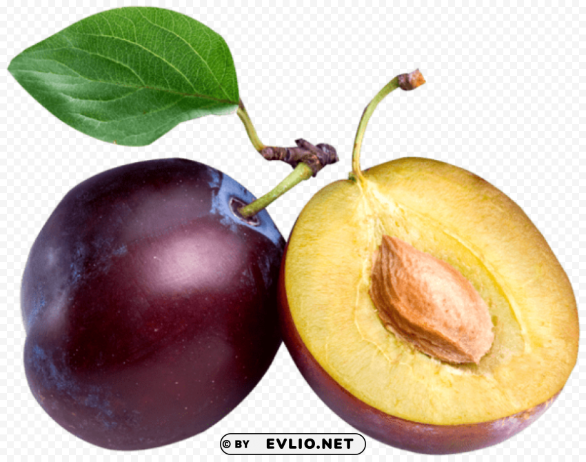 large plum PNG graphics with clear alpha channel broad selection