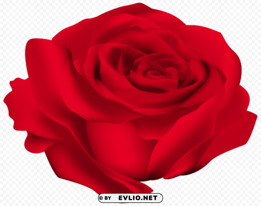 Red Rose Flower PNG Clear Images