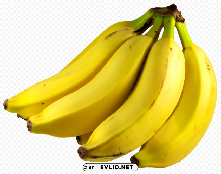 Banana Transparent PNG Images Extensive Gallery