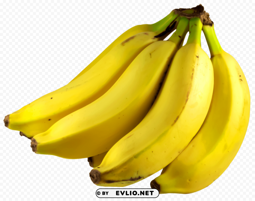 Bunch of Bananas PNG images with clear alpha channel broad assortment