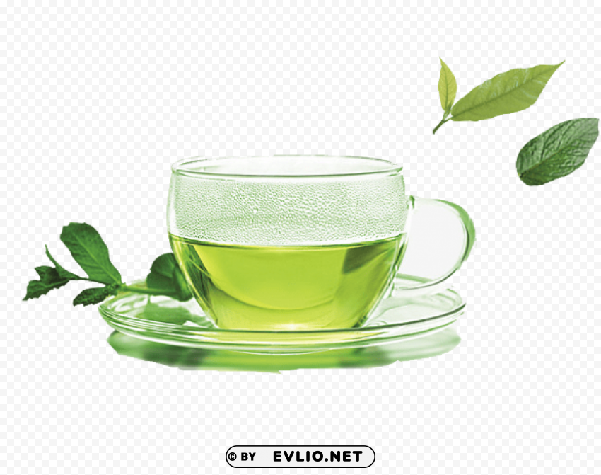 green tea PNG graphics with clear alpha channel