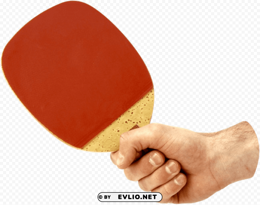 ping pong PNG clipart with transparent background