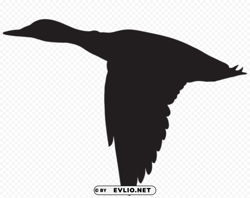 Transparent duck flying silhouette Clear Background PNG Isolated Item PNG Image - ID ff9f2f17