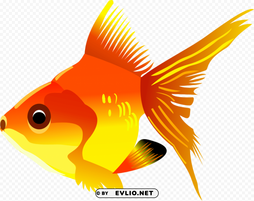 fish Clear Background PNG Isolated Illustration