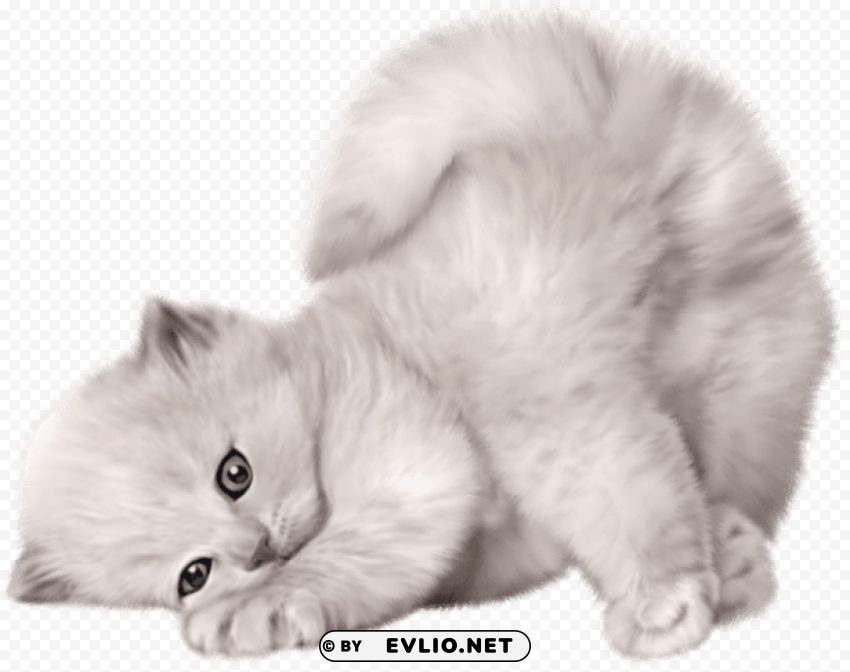 Large Cute Cat Picture PNG Art