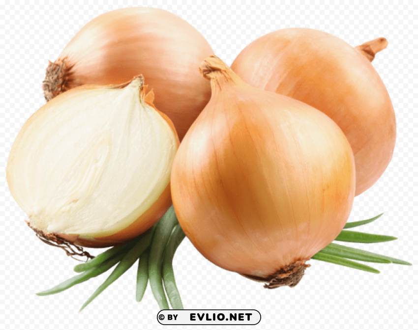 onions picutre PNG images with no attribution