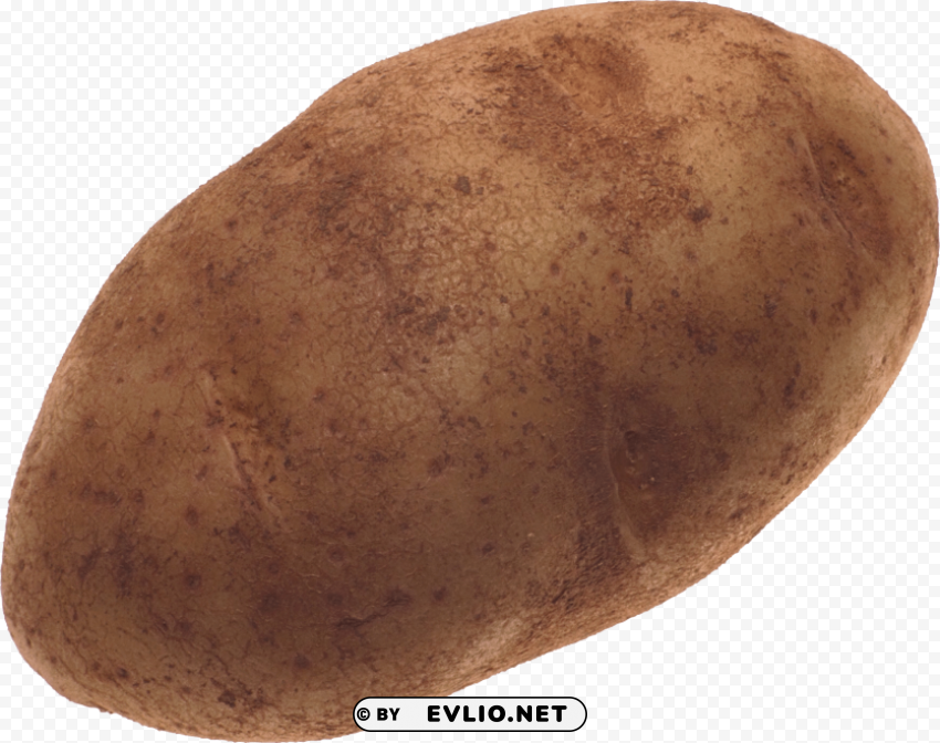 potato Transparent Background Isolated PNG Item