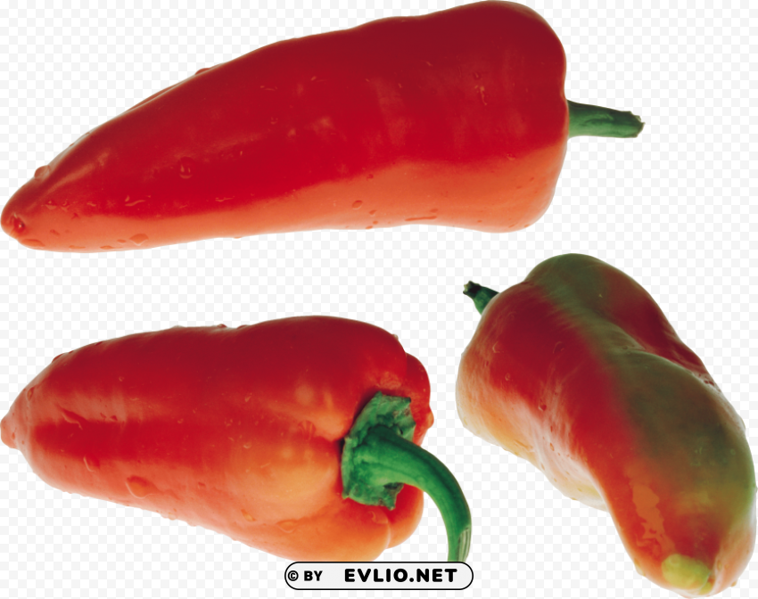 red pepper PNG Graphic with Transparent Background Isolation