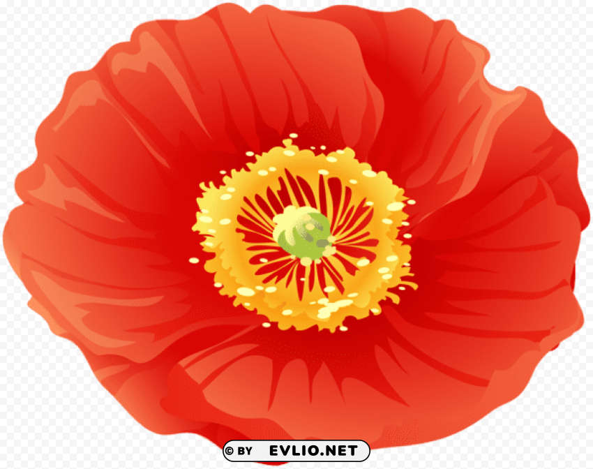 red poppy flower Isolated Character in Clear Transparent PNG