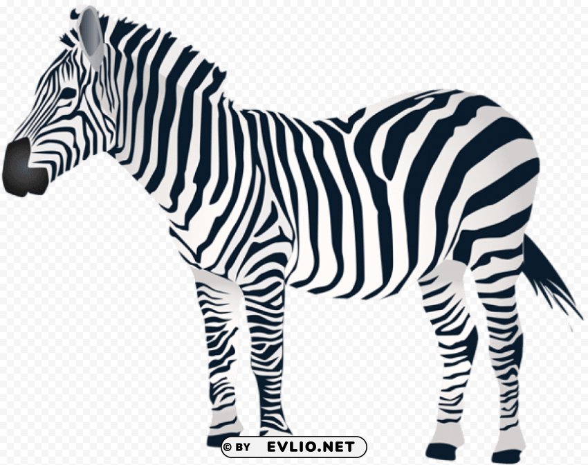 zebra PNG files with alpha channel assortment