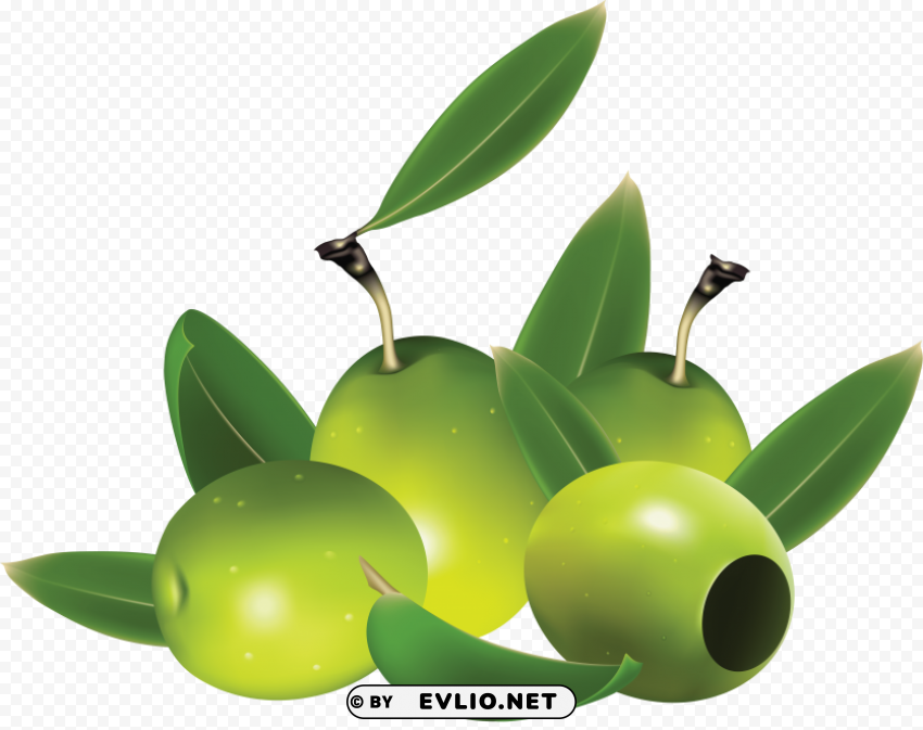 olives PNG files with no backdrop wide compilation