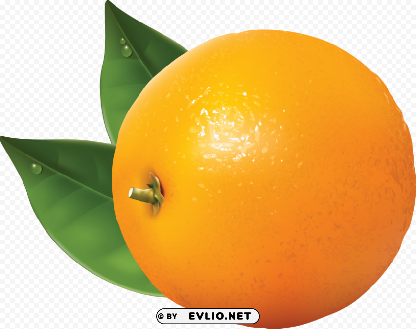 orange PNG Isolated Object with Clear Transparency