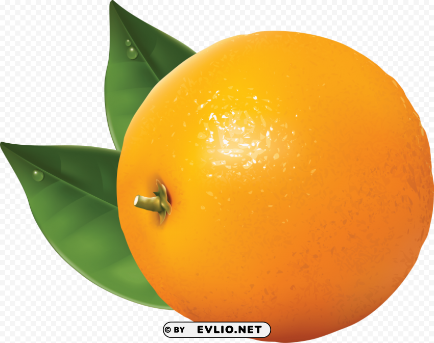 Orange 3D Isolated Character In Transparent Background PNG