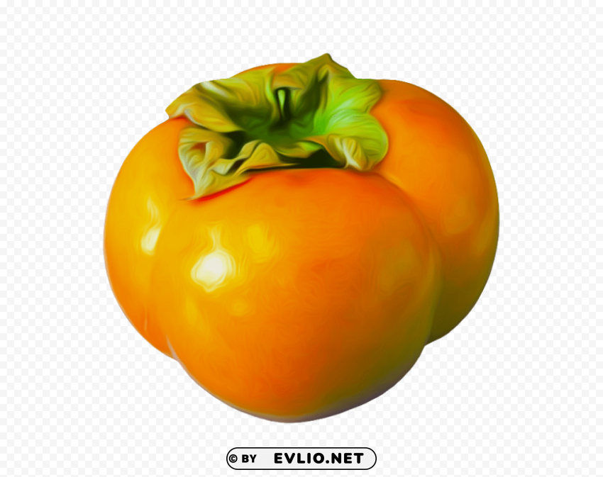 persimmon PNG images with no background free download
