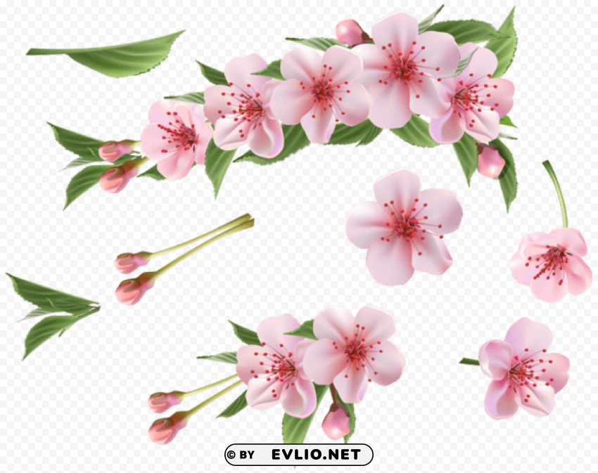 spring branch pink elements PNG images for graphic design