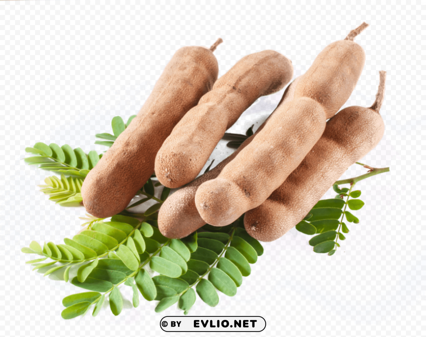 tamarind PNG Image with Isolated Transparency