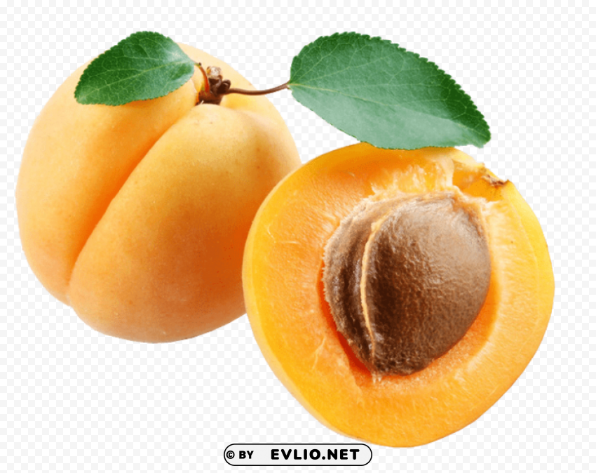 apricot Clear PNG pictures comprehensive bundle