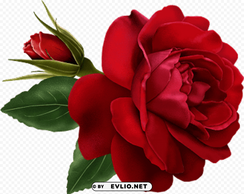 red rose with bud painted Isolated Subject in Clear Transparent PNG