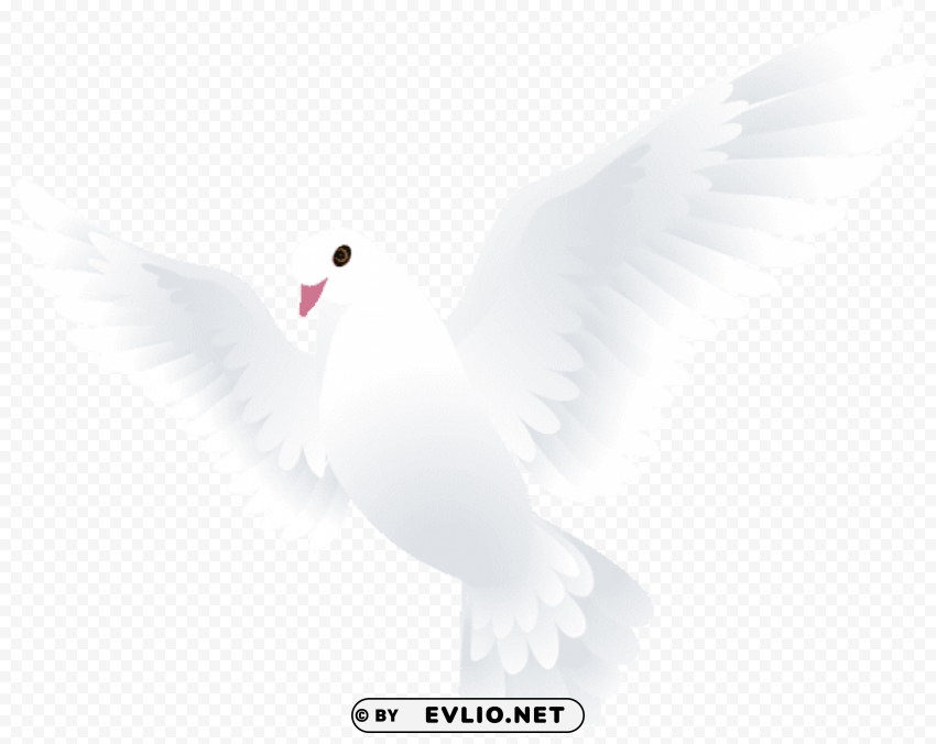 dove transparent Clear background PNG images bulk png images background - Image ID b4992f73