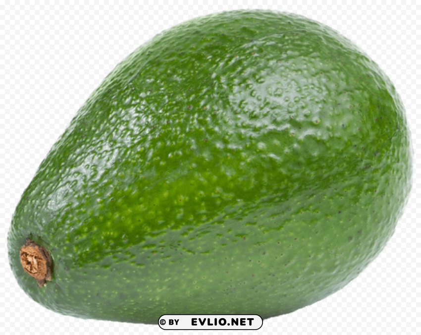 large avocado Transparent image