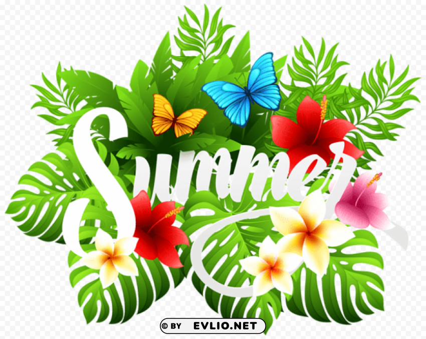 summer decorative PNG files with clear backdrop collection
