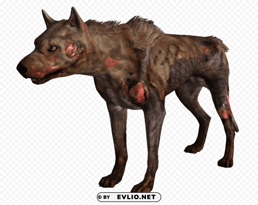 wild dogs free Transparent PNG graphics complete collection