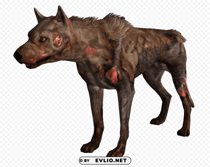 Wild Dogs Free Transparent PNG Graphics Complete Collection