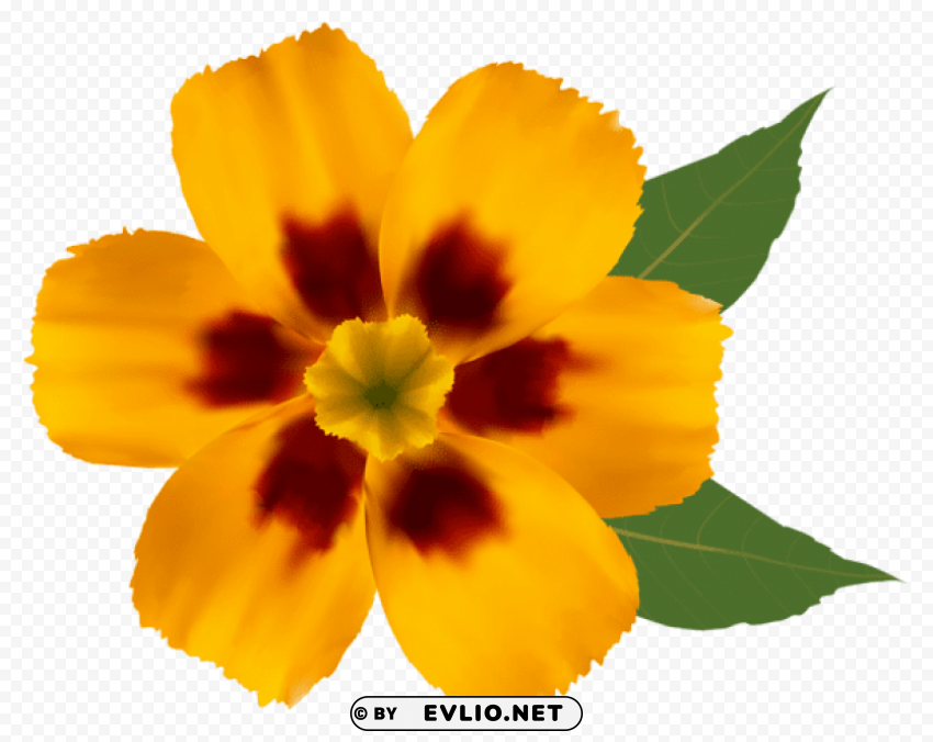 yellow flower PNG images with transparent canvas compilation