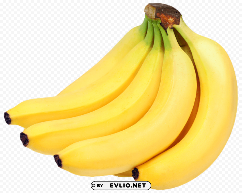 bunch of bananas PNG transparent pictures for projects