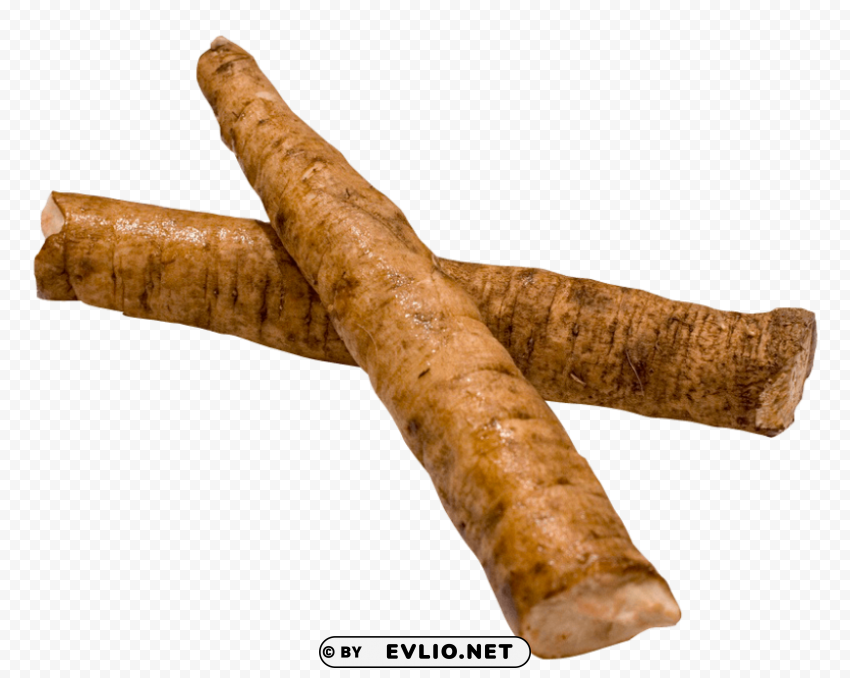 Burdock Root PNG Graphic With Clear Isolation