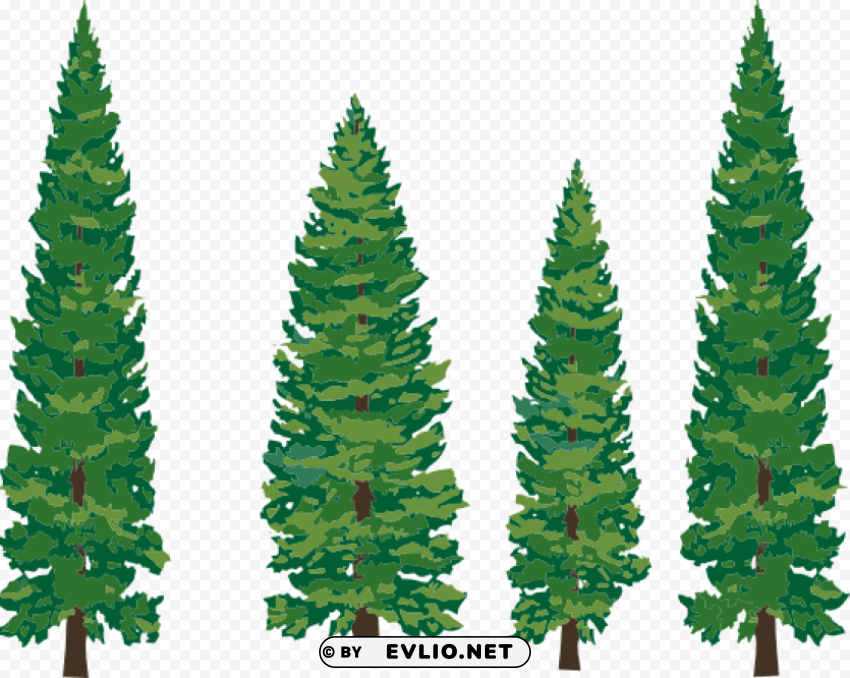 fir-tree PNG transparent designs for projects