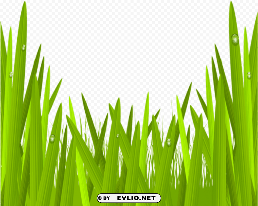 green grasstransparent Isolated Character in Transparent PNG
