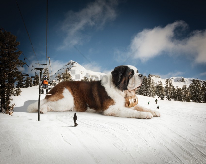 huge mountains snow st bernard wallpaper PNG with Transparency and Isolation