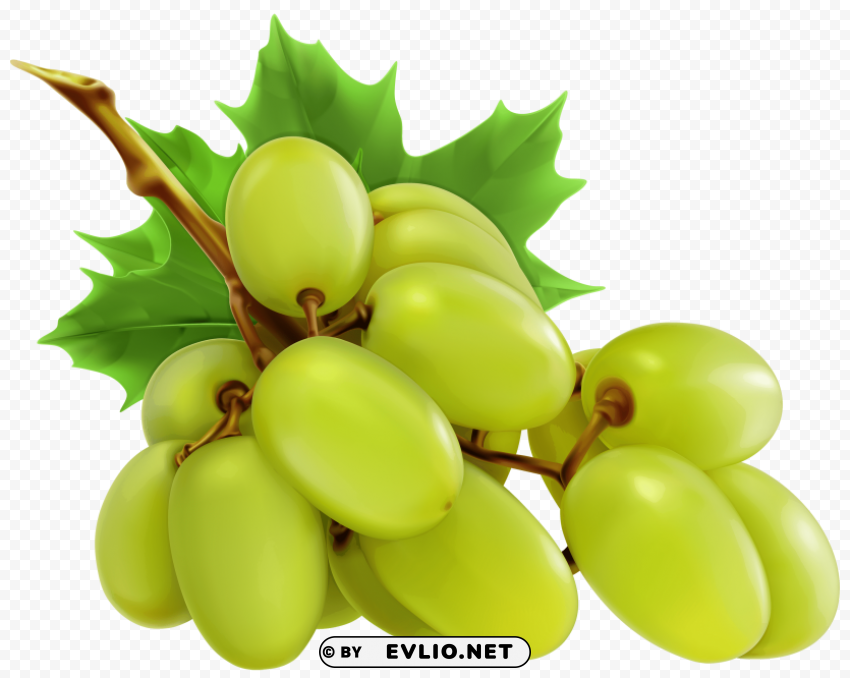 white grapes Transparent Background Isolated PNG Design