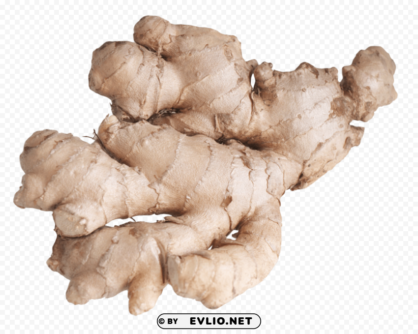 ginger root PNG Graphic with Transparency Isolation